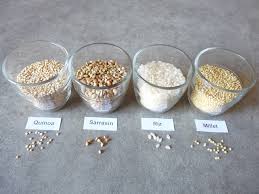 Mais comment trouver les produits qui cartonnent ? Regime Sans Gluten Et Budget