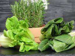 pak choi und mangold pak choi mangold gefulltes gemuse