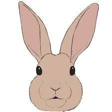 Download and print these bunny rabbit face coloring pages for free. How To Draw A Bunny Face Easy Drawing Art