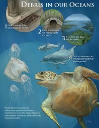 How Plastic Debris Affects The Marine Life In The Oceans It Doesn T Matter If You Live Near A Coast Or Not Gilbertrecycle Ocean Pollution Ocean Marine Debris
