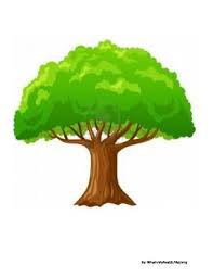 A gardening trowel is needed to plant the seed, which must then be watered with a watering can. Apple Tree Artic Green Trees Cartoon Trees Picture Tree