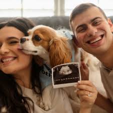 Claire and Alex Gonzalez's Baby Registry at Babylist