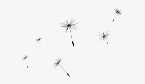 Download these amazing cliparts absolutely free and use these for creating your presentation, blog or website. Dandelion Clipart Transparent Background Dandelion Transparent Png 640x480 Free Download On Nicepng