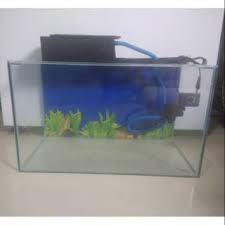 Jika anda tidak keberatan, filter spons dapat menjadi filter yang sangat baik untuk hampir semua aquarium. Harga Aquarium Besar Terbaik Hobi Koleksi Agustus 2021 Shopee Indonesia