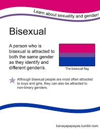 Pin On Bi Pride