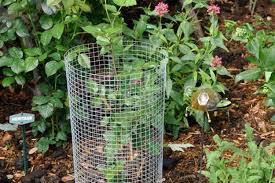 How to prevent animals from eating garden. The Rose Whisperer Public Enemy No 1 Csmonitor Com