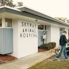 Enter your zip code & find info on low cost vet. Skyway Animal Hospital Veterinarians 3258 5th Ave S Saint Petersburg Fl Phone Number Yelp