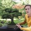 Der japanische bonsaigarten in ferch nahe potsdam â the from japanischer garten ferch. Https Encrypted Tbn0 Gstatic Com Images Q Tbn And9gcsbgr9swq1v0u2dmibqnkmulmzlxxnnmowwln6pf9a Usqp Cau