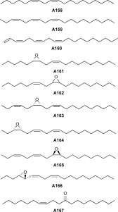 Image result for Cyperus breviradius