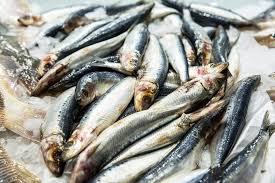 Berikut beberapa manfaatnya buah dan sayur jadi pilihan makanan yang sehat untuk ibu hamil. Manfaat Ikan Sarden Untuk Ibu Hamil Muda Pabrik Tuna Kaleng Tuna Kaleng Siap Makan Tuna Kaleng Untuk Balita Pengalengan Ikan Indonesia