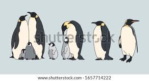 To draw your cartoon penguin's beak, start by drawing an upside down half circle just below the eyes, centered between them. Emperor Penguin Tux Snares Penguin Bird Emperor Penguin Clipart Stunning Free Transparent Png Clipart Images Free Download
