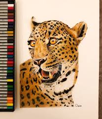 Leopard Pars Pars Leopar Olarak Da Bilinir Kedigiller Familyasindan Panthera Cinsinin 4 Buyuk Kedi Turunden Biri Onceleri Parsin 2020 Sanat Leopar Cizim