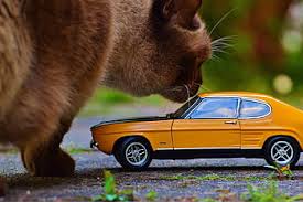 A colorful christmas | this little street. Page 2 Royalty Free Toy Car Photos Free Download Pxfuel