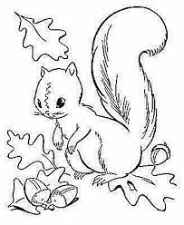 Select from 35478 printable coloring pages of cartoons animals nature bible and many more. Free Autumn And Fall Coloring Pages Squirrel Coloring Page Fall Leaves Coloring Pages Fall Coloring Pages