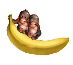 Résultat de recherche d'images pour "singes partageant des bananes"