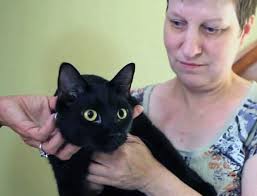 Cat becomes trapped in suitcase, survives 10-hour flight to Disney World