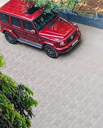 Image result for Hyacinth Red 2016 G