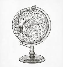 Pangolin Globe Pangolin Art Endangered Species Art Pangolin