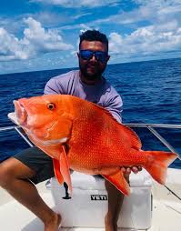 Aaron-lyle Manes with a nice fatty no tag 😂..