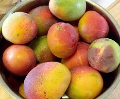 The mango has a thin soft peel that is edible, another difference between the two fruits is that an orange is the color orange and a mango is a peach color. The Amazing Benefits Of Mango The Garden Island