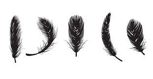 Bird Feather Clipart Black And White Feather Free Vectors Feather Vector Feather Clip Art Feather