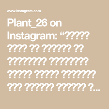 plant 26 on instagram تكوين مميز من مجموعة من الصبارات الطبيعية كبيرة الحجم نسقناها لكم بعناية فائقة وسط مجموعة مختلفة من الأحجا math calligraphy instagram
