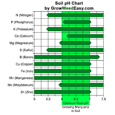 How To Check Ph Stop Cannabis Nutrient Deficiencies Grow