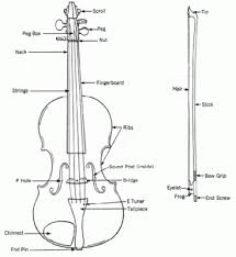 Violin And Bow Diagram Violin Parts Learn Violin Violin