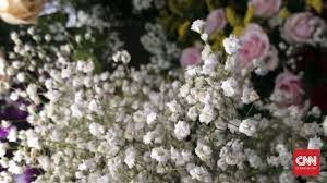 We did not find results for: Cara Mengawetkan Bunga Agar Tetap Cantik