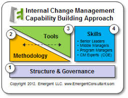 Building An Internal Change Management Capability Change Management Management Infographic Management