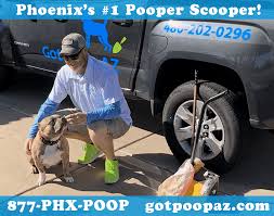Find 88 photos of the 2814 e cactus rd home on zillow. Dog Poop Clean Up In Phoenix Az Got Poop Az
