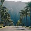 All of their tropical flowers in finally, pay this order after you earn additional savings with the code. Https Encrypted Tbn0 Gstatic Com Images Q Tbn And9gctsjnaqydch Fs4jjhilm Vswnuiwdlr G1dcxgnpthj Ici1nv Usqp Cau