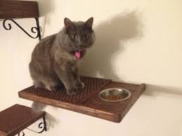 27 Brilliant Hacks Every Cat Owner Needs To Know Cat Feeding Shelf Cat Food Station Cat Wall Shelves