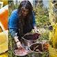 Botanical Wool Dyeing Workshop with Sian Lester