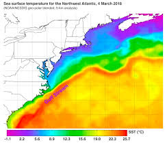 A chart of the gulf stream; A Weaker Gulf Stream Means Trouble For Coastal New England Weather Underground