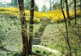 Image result for Fern Green 1994 Reliant