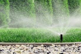 Sprinkler and lighting system