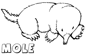 And you can freely use images for your personal blog! Pin By Angela Townsend On Activities For Kids Cute Coloring Pages Coloring Pages Cartoon Mole