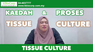 Johor kedah kelantan melaka n. News Events Kbiocorp