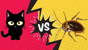 Certain species of spiders, for example, may prey on roaches. Do Cats Eat Cockroaches Is It Safe For Them Animalfate