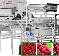 Raspberry / Cranberry / Coffee Cherry Sorting Machine Lower ...