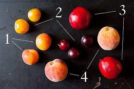 And i do also think this is a problem with a lot of nursery stock as lots of places graft. How To Buy And Use Peaches Plums And Apricots