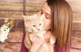 Always wash your hands before and after handling the kittens, and always clean and sterilize your bottles, nipples, brushes, or tube feeders in boiling water after each. Risks From Kissing Your Cat Vetwest Animal Hospitals