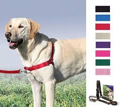 Details About Petsafe Easy Walk Harness 1 8m Lead For