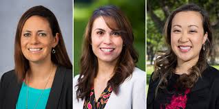 Image result for Ochna hackarsii