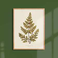 Image result for Cheilanthes botswanae