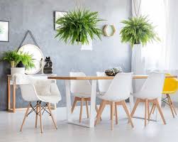 5 Plantes Qui Absorbent L Humidite De Toutes Les Pieces Table Salle A Manger Decoration Plante Idees De Decor