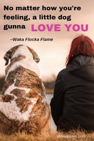 33 Short Dog Quotes Will Make You Love Your Pup More Strive Quotes Short Dog Quotes Dog Quotes Strive Quotes