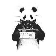 Lucky for you, unsplash photographers have ventured where others wouldn't dare and photographed the panda in all its beauty. Bad Panda Wallpaper Panda Art Panda Wallpapers Art