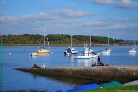 Sene La Cale De Barrarac H L Embarcadere Morbihan Sentiers Golfe Du Morbihan